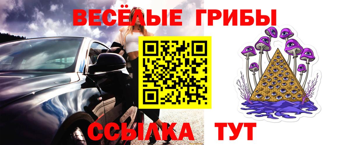 Псилоцибиновые грибы прущие грибы Майкоп