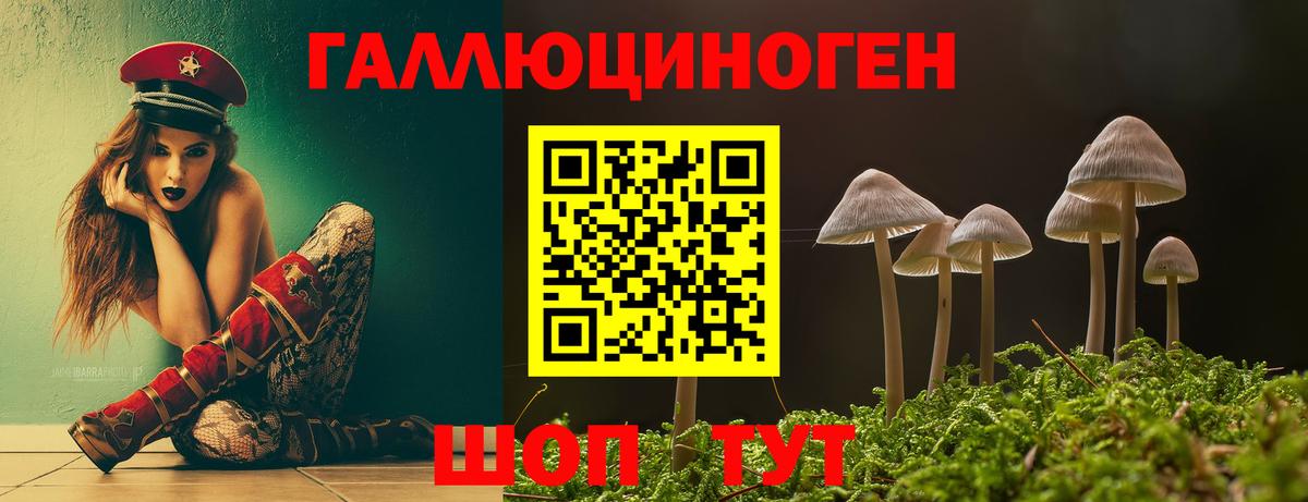 Майкоп  как найти наркотики  Вход с VPN  Псилоцибиновые грибы MAGIC MUSHROOMS 