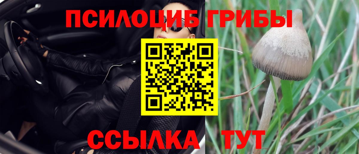 МЕФ   A PVP СК   ГЕРОИН  АМФ   ГАШ  Вход с VPN  Майкоп  МАРИХУАНА 